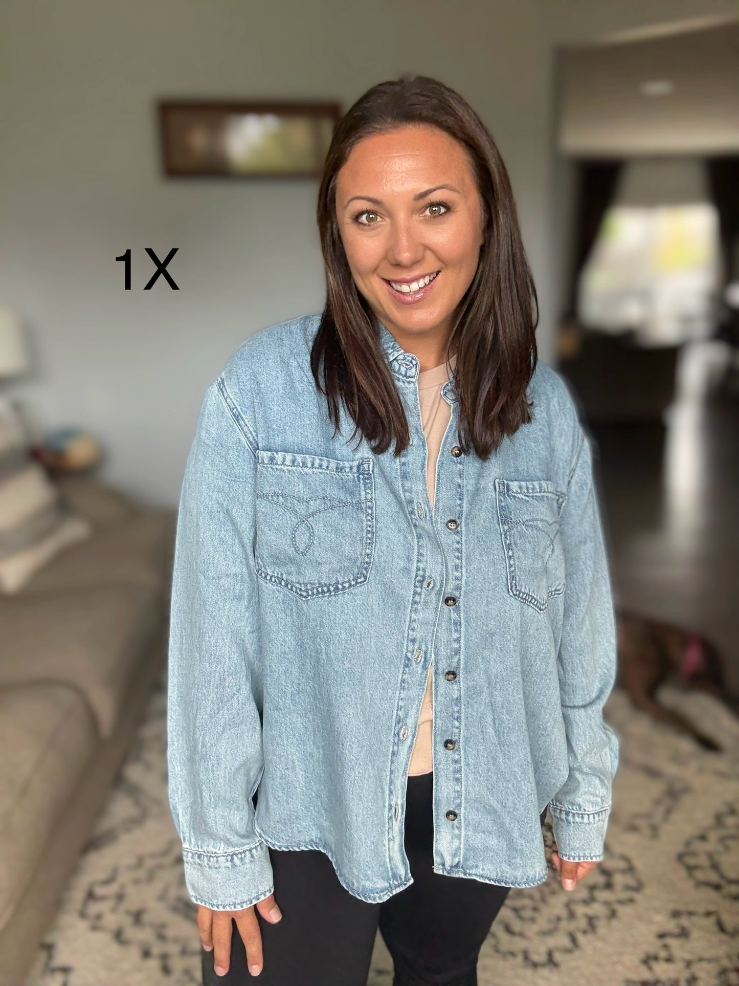 Judy Blue Essential Denim Button Down Shirt