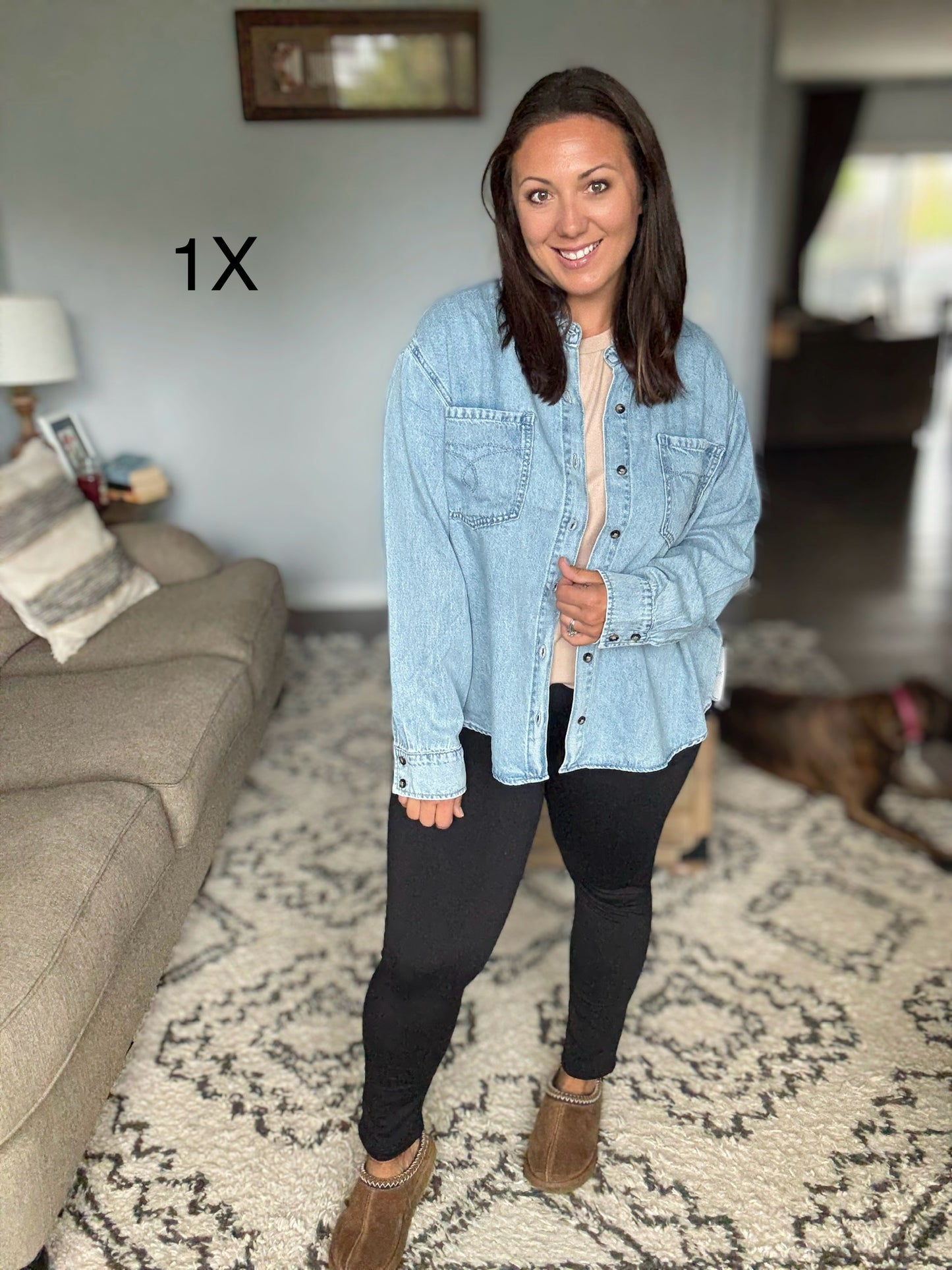 Judy Blue Essential Denim Button Down Shirt