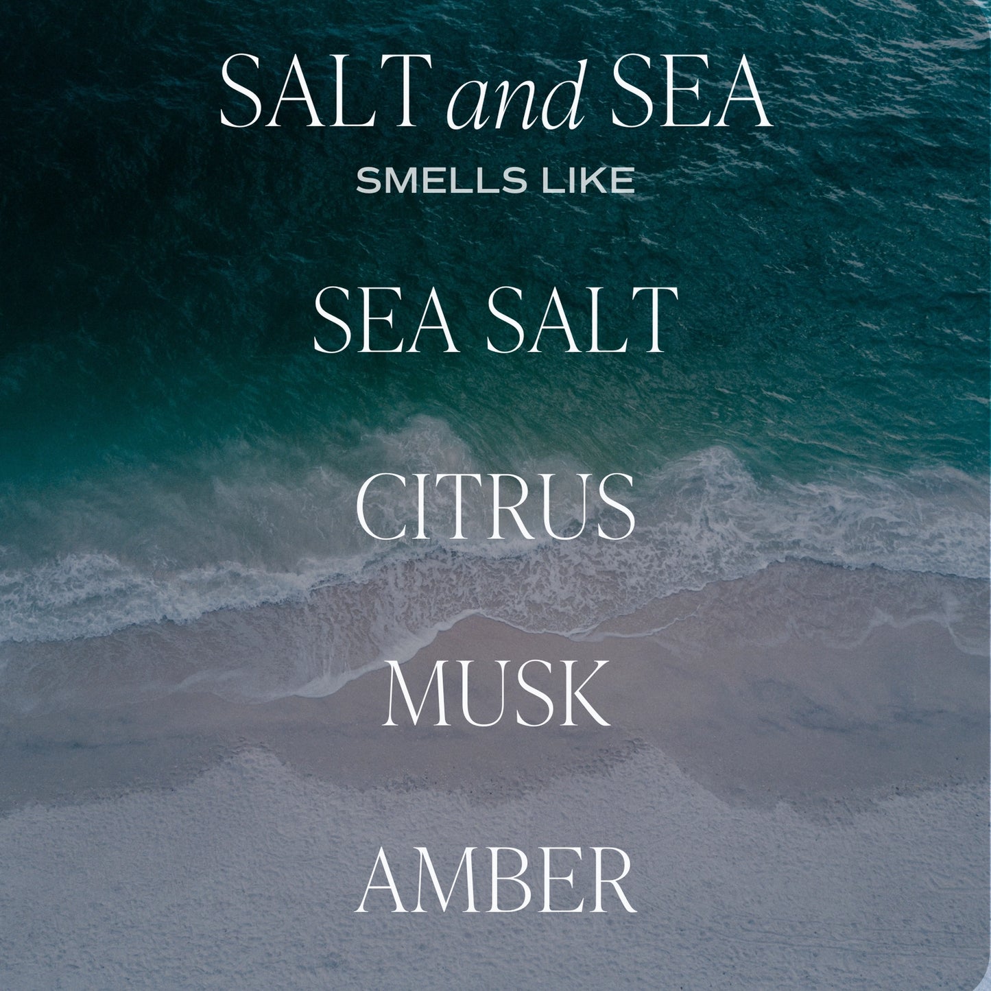 Sweetwater Decor | Salt and Sea Amber Reed Diffuser with New Tinted Bottle