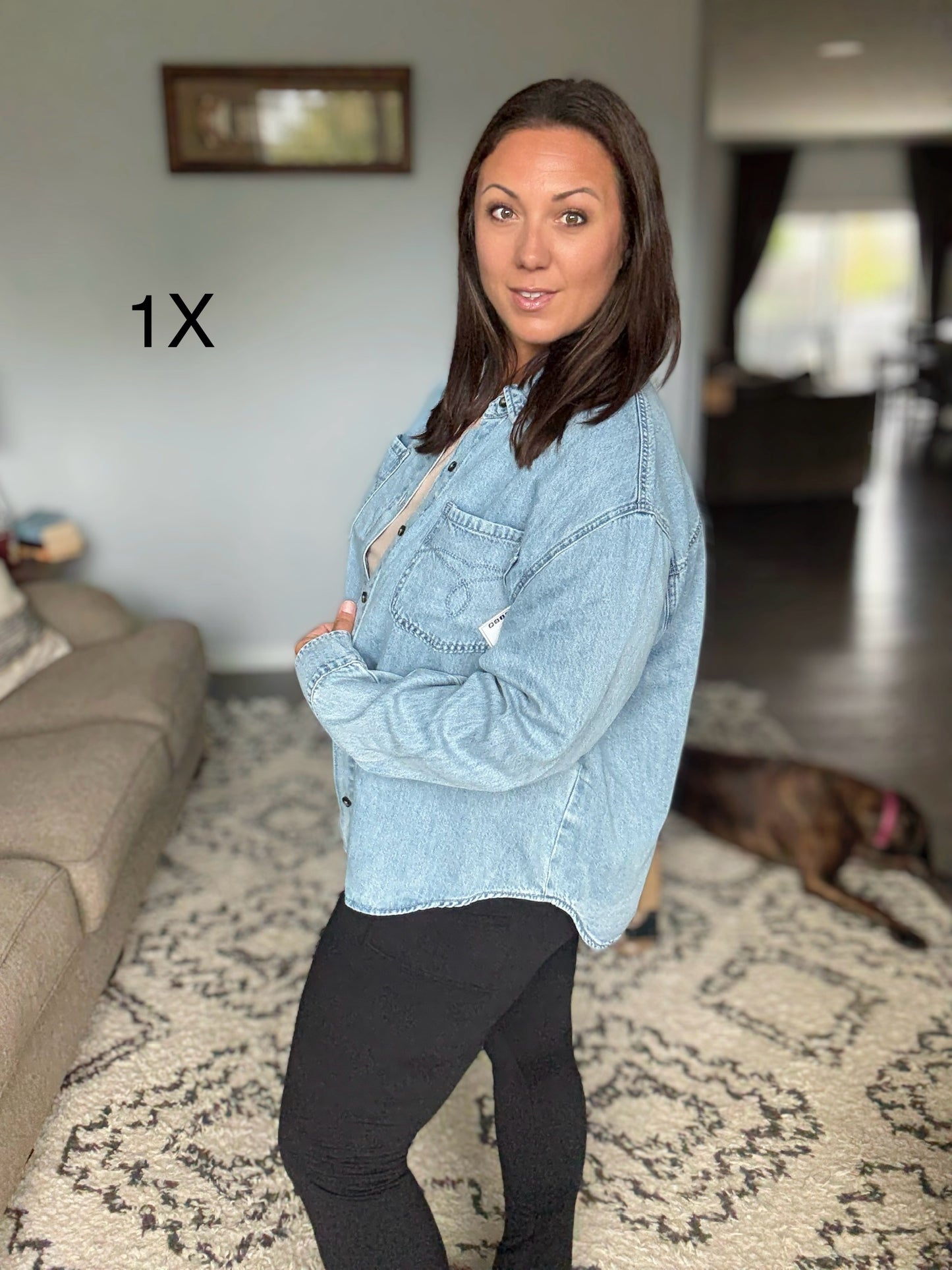 Judy Blue Essential Denim Button Down Shirt