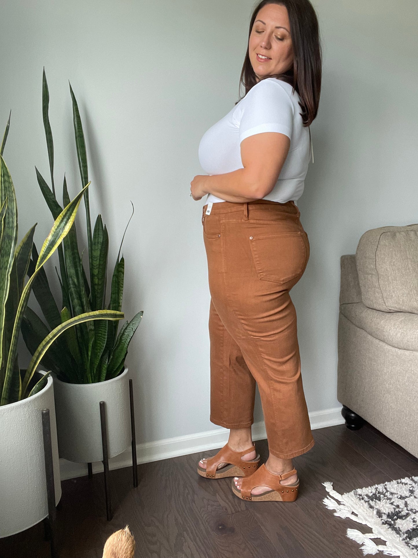 Briar High Rise Control Top Wide Leg Crop Jeans in Camel