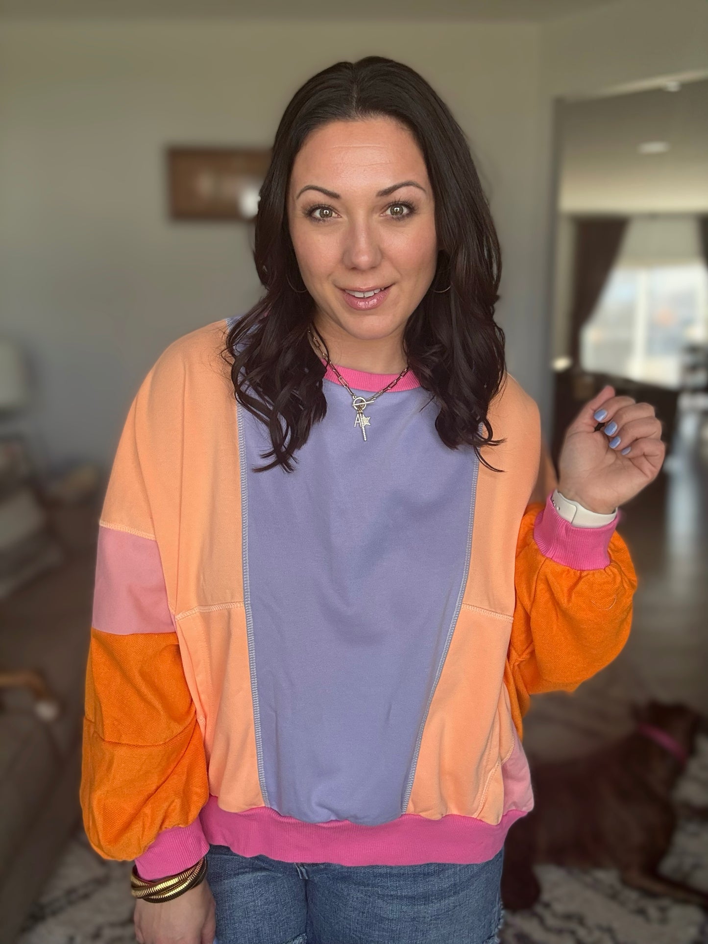 Blockbuster Color Block Pullover in Muted