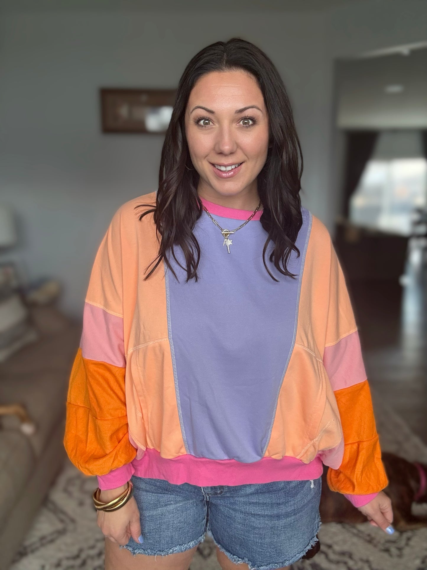 Blockbuster Color Block Pullover in Muted