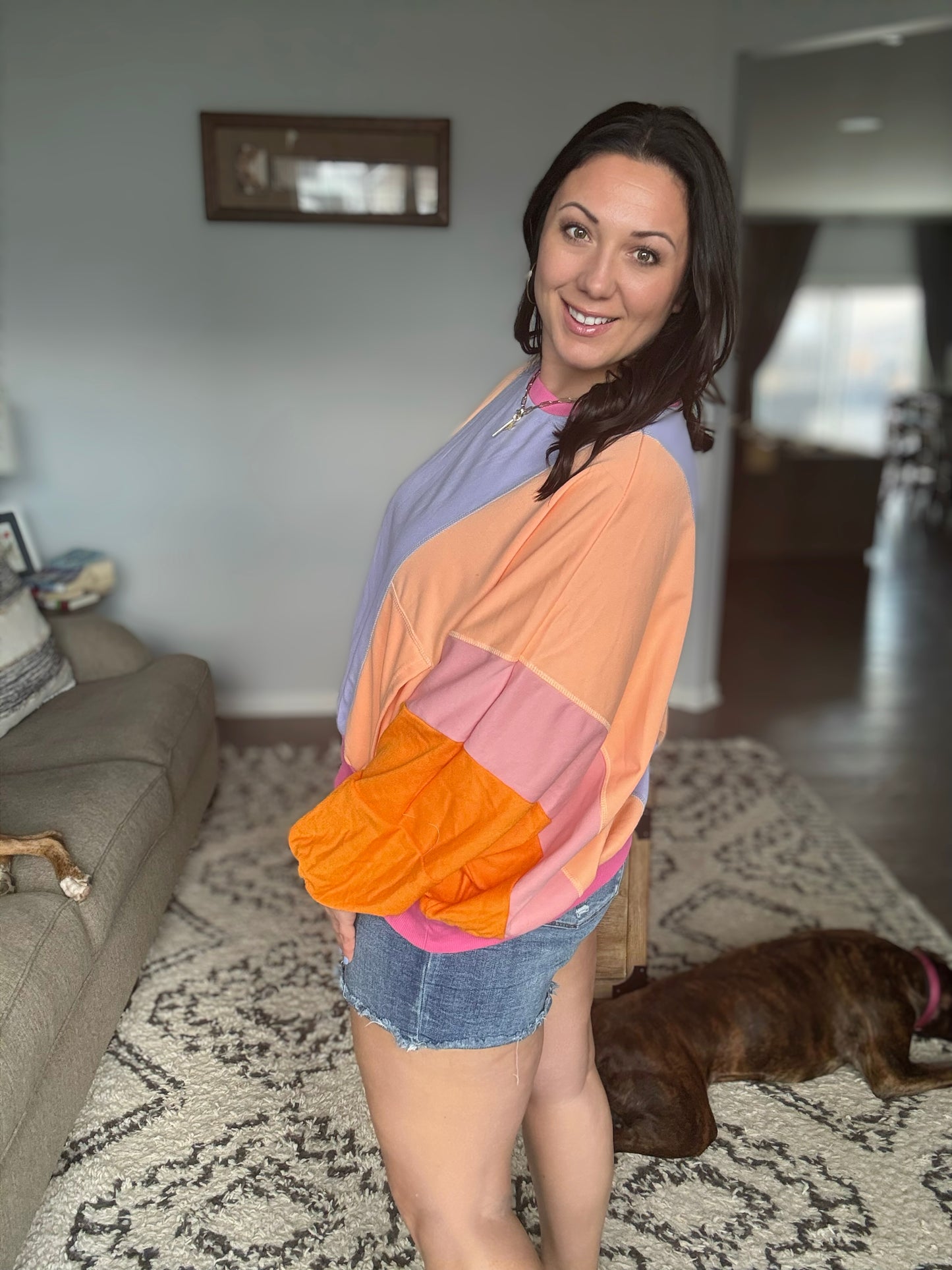 Blockbuster Color Block Pullover in Muted