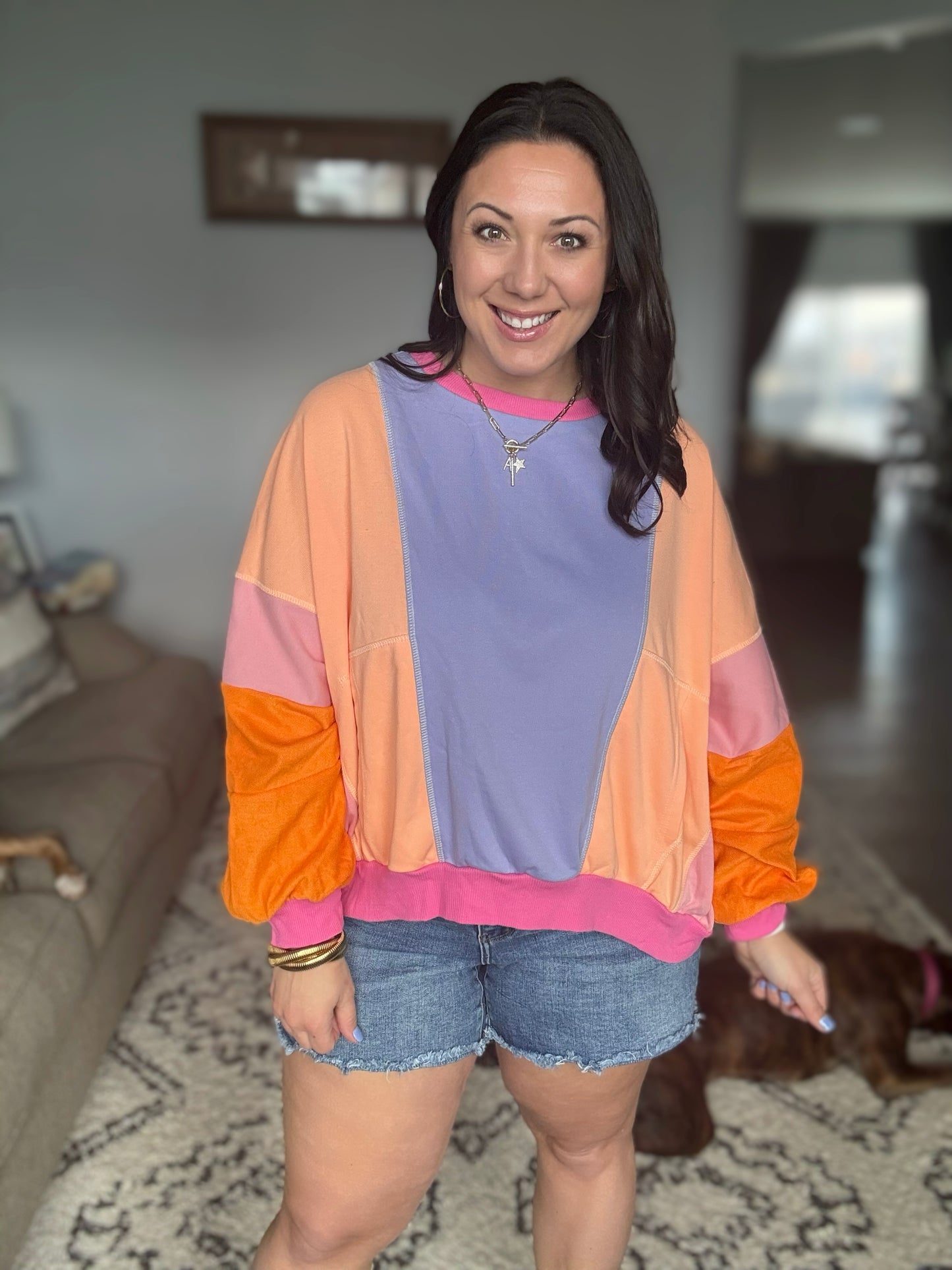 Blockbuster Color Block Pullover in Muted