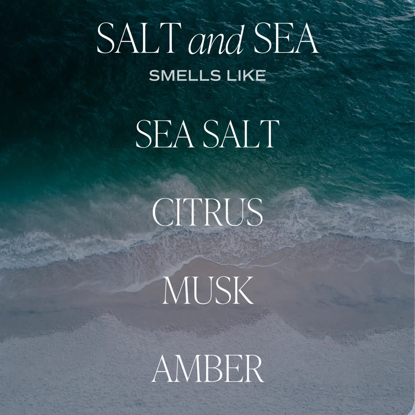 Sweetwater Decor | Salt and Sea Amber Reed Diffuser