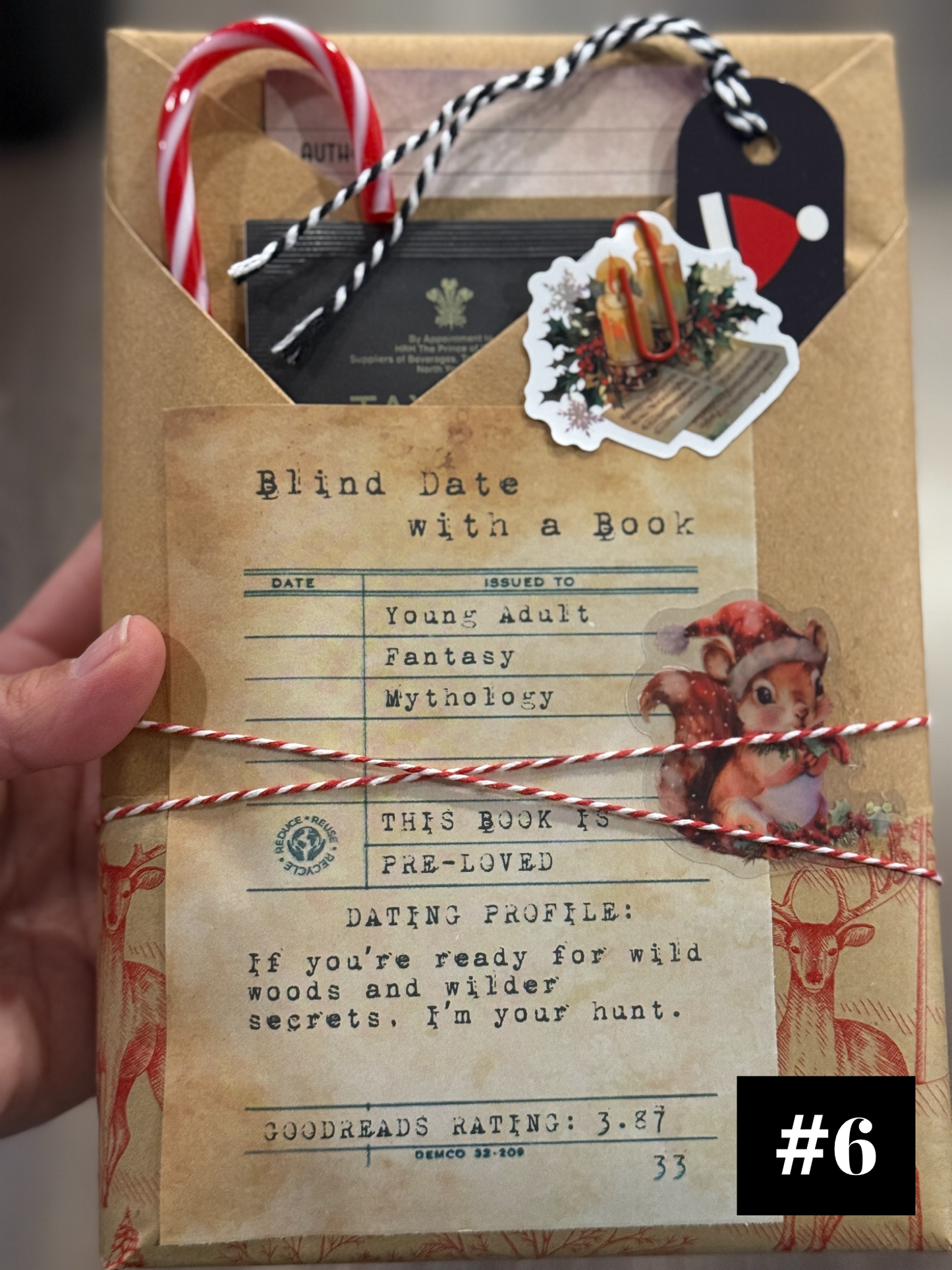 Blind Date with a Book - Holiday Edition (Mixed Genres)