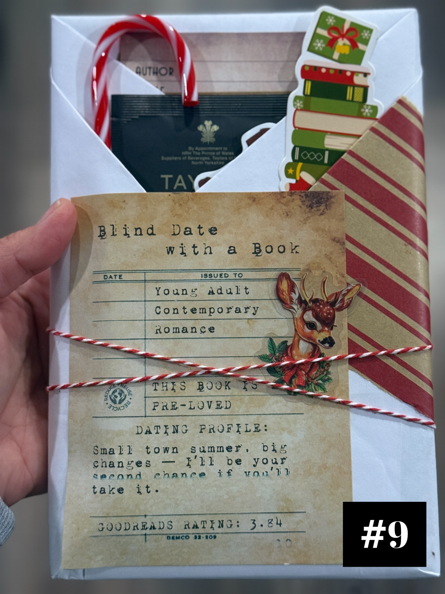 Blind Date with a Book - Holiday Edition (Mixed Genres)