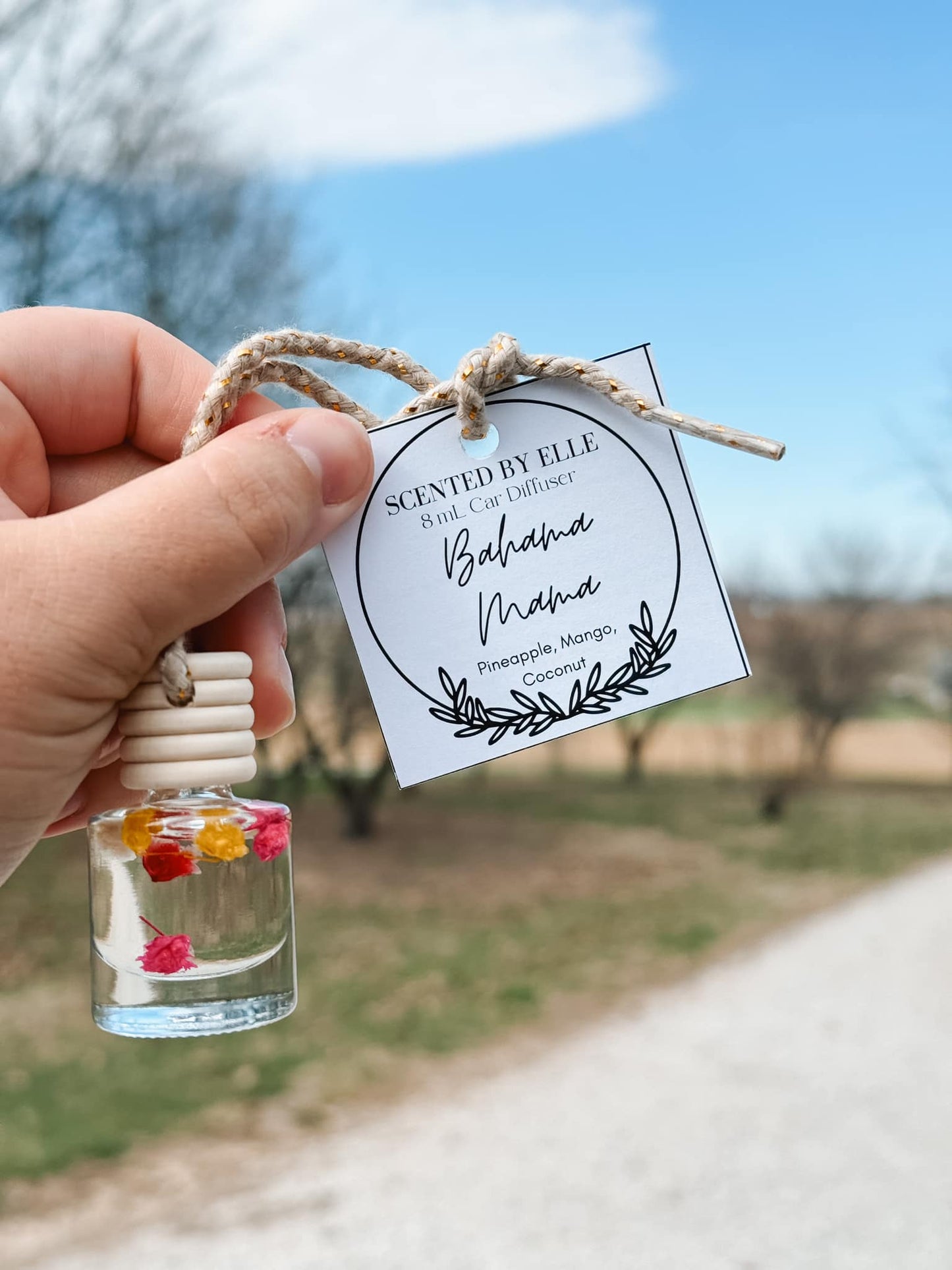 Preorder: Scented By Elle Hanging Car Oil Diffusers - New Fall Scents!