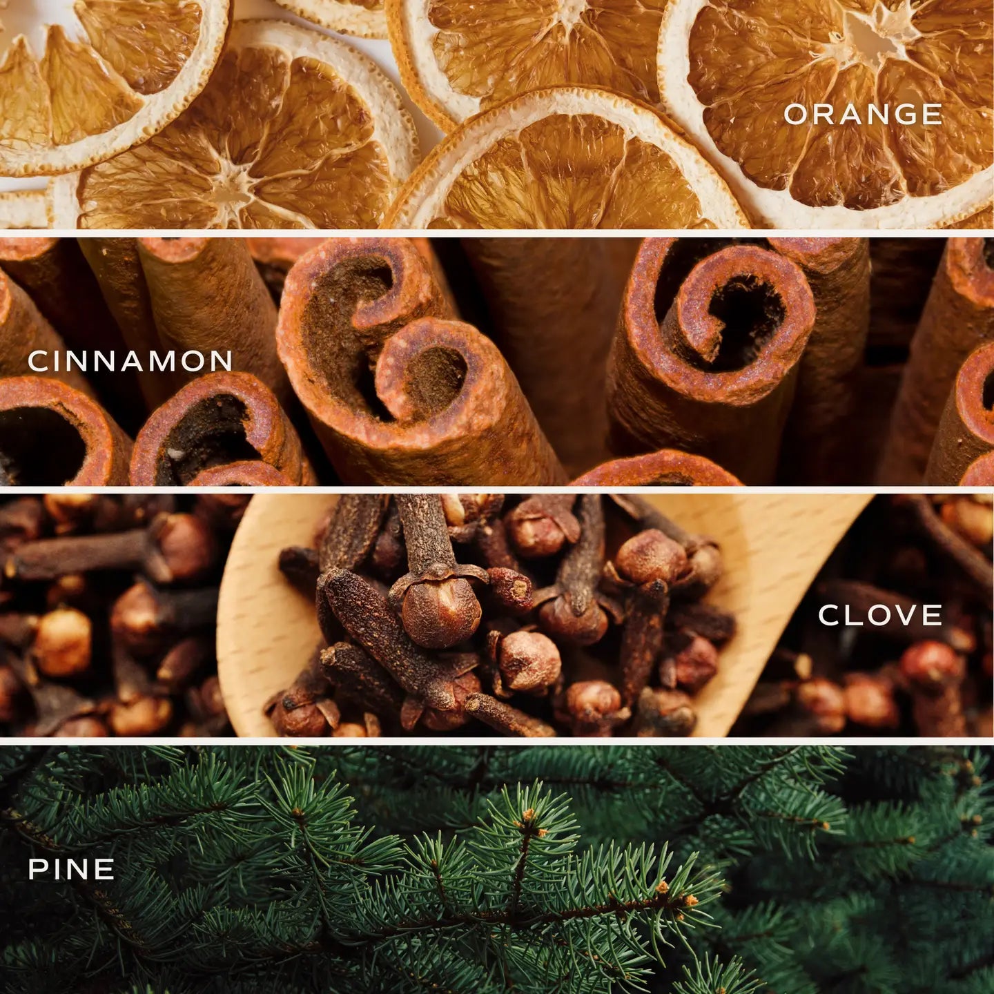 Sweetwater Decor | Warm and Cozy Reed Diffuser with Clear Glass Bottle