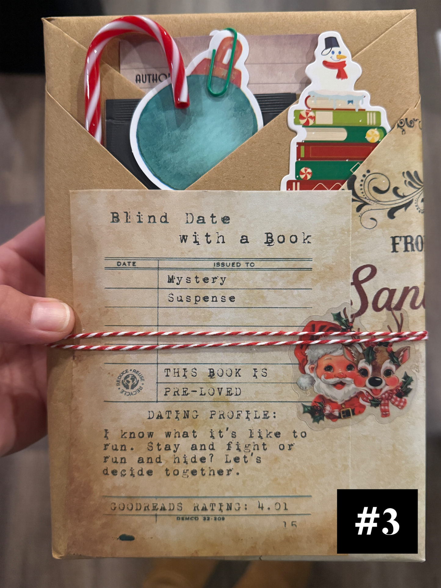 Blind Date with a Book - Holiday Edition (Mixed Genres)