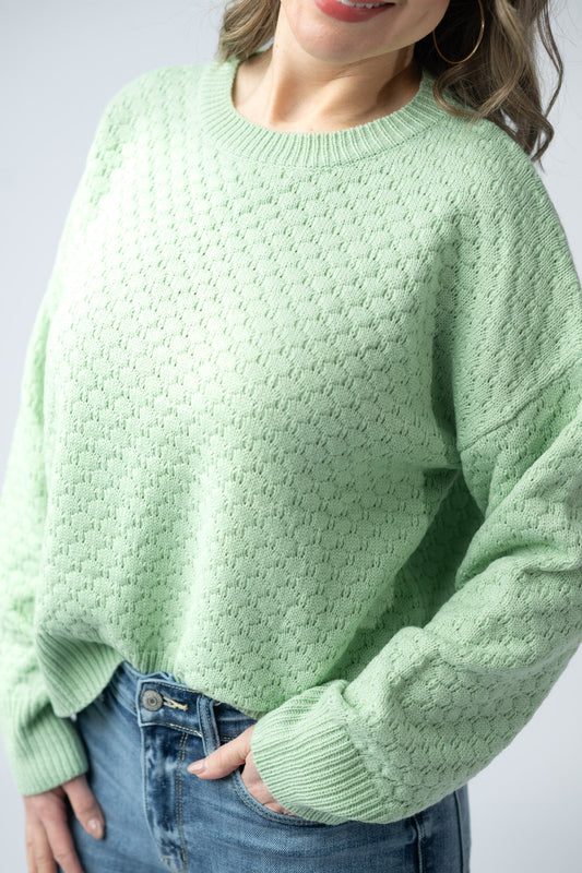 Michelle Mae Gianna Pullover Sweater - Spring Sage Green