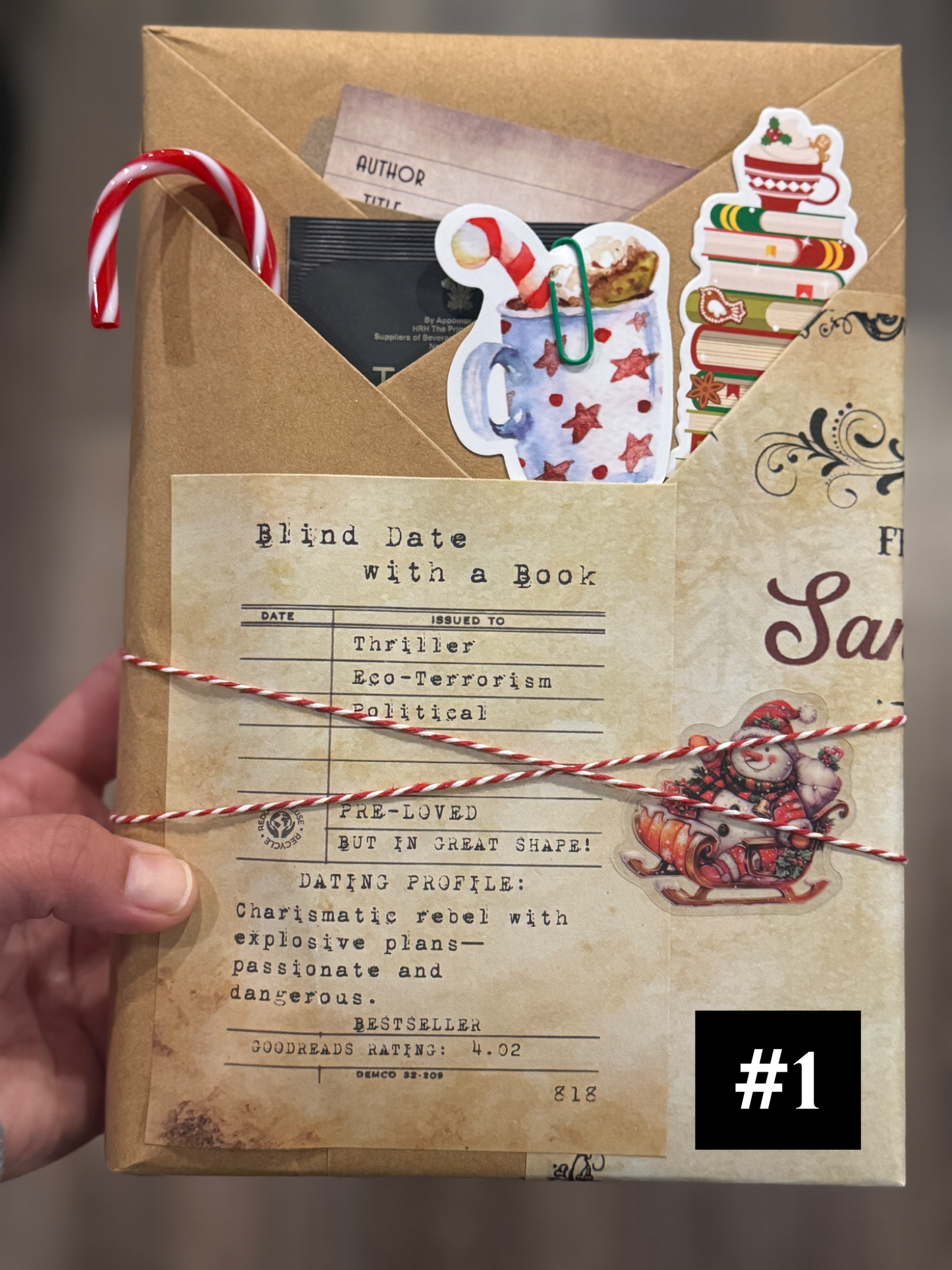 Blind Date with a Book - Holiday Edition (Mixed Genres)