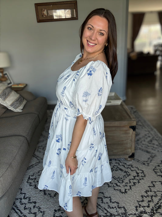 Wispy Blue Floral Embroidered Dress