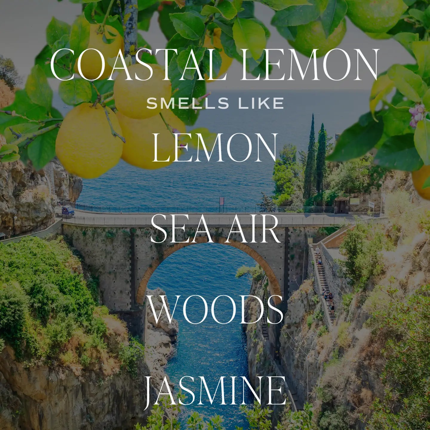 Sweetwater Decor | Coastal Lemon Reed Diffuser