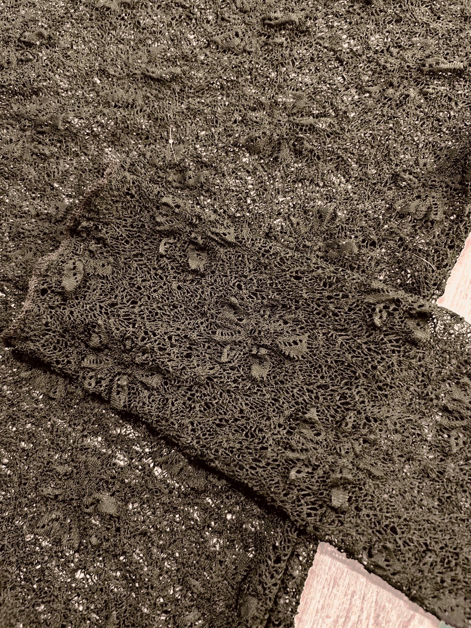 PREORDER Luxe Lace and Floral Textured Long Sleeve Sheer Top - Girl Code Couture